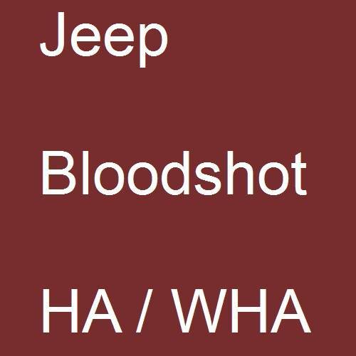 Jeep, Bloodshot, HA / WHA.